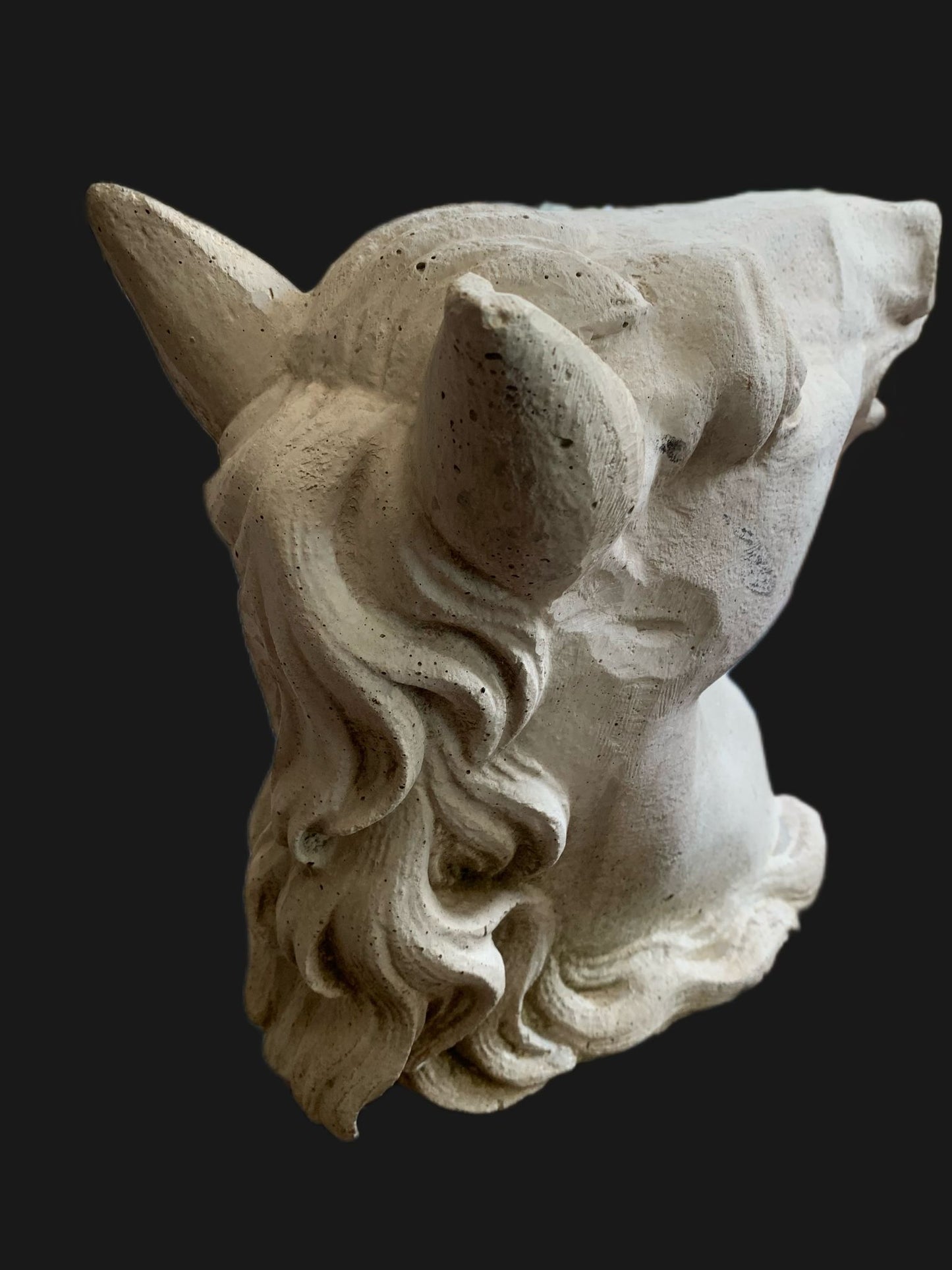 TESTA DI CAVALLO
